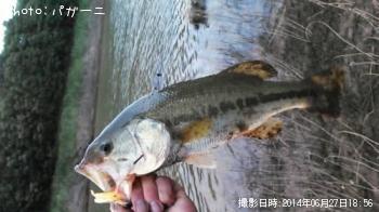 �֥�å��Х�