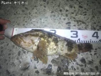 �٥å�������