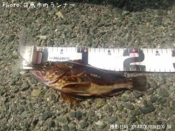 �������ȥ����Υ���Х�