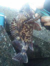 �������ȥ����Υ���Х�