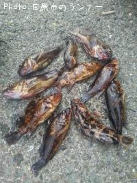 �������ȥ����Υ���Х�