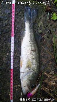 ¥Ö¥é¥Ã¥¯¥Ð¥¹