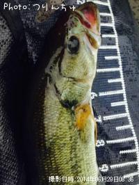 �֥�å��Х�