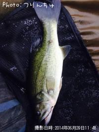 �֥�å��Х�