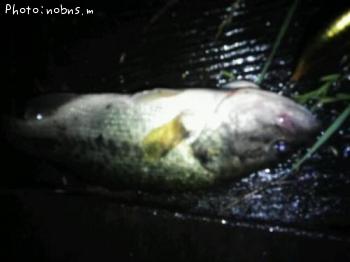 �֥�å��Х�