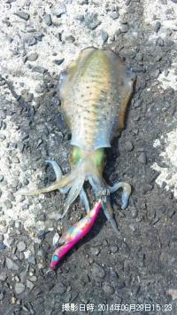 �����ꥤ��