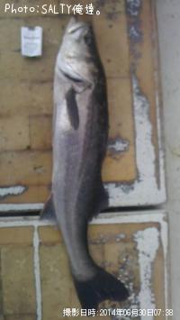 �����Х�