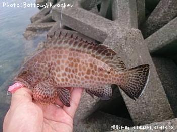 ¥ª¥ª¥â¥ó¥Ï¥¿