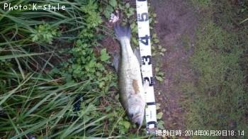 �֥�å��Х�