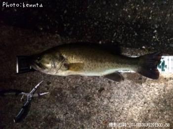 ¥Ö¥é¥Ã¥¯¥Ð¥¹