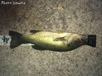 �֥�å��Х�