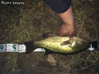 �֥�å��Х�