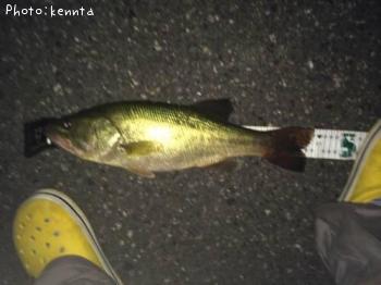 �֥�å��Х�