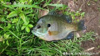 ¥Ö¥ë¡¼¥®¥ë