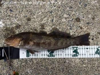 �����ʥ�