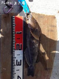 �����ʥ�