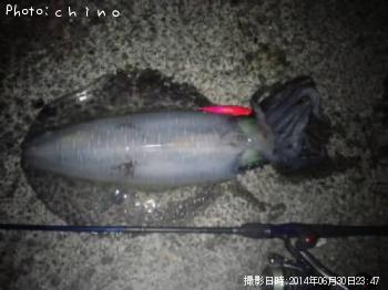 �����ꥤ��