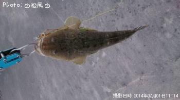 �ޥ���