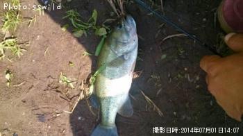 �֥�å��Х�