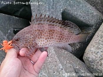 �������ϥ�