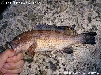 �������ϥ�