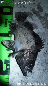 ¥¯¥ê¥¢¥á¥Ð¥ë