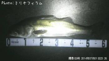 �����Х�