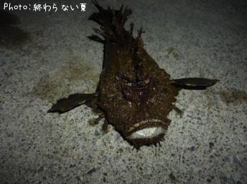 ���˥�����