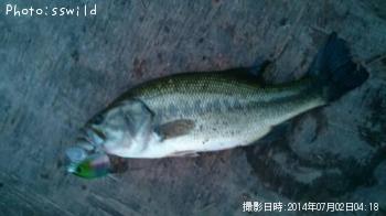 �֥�å��Х�