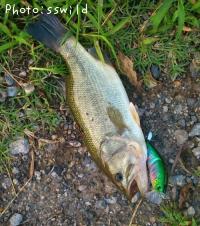 ¥Ö¥é¥Ã¥¯¥Ð¥¹