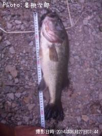 �֥�å��Х�