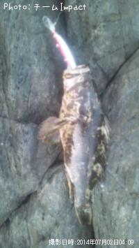 �����Υ���Х�