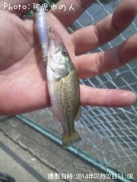 �֥�å��Х�