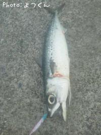 ���ޥ���