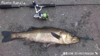 �����Х�