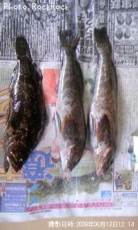 �����ʥ�