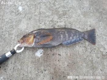 �����ʥ�