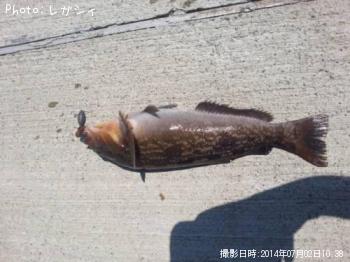 �����ʥ�