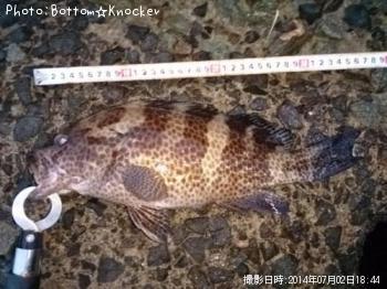 �������ϥ�