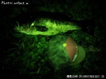 �֥�å��Х�