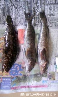 �٥å�������