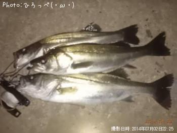 �����Х�