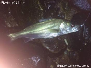 �����Х�