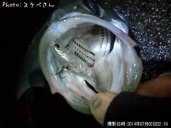 �ҥ饹����