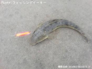 �ޥ���