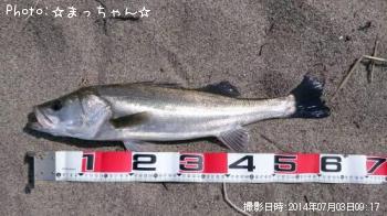 �����Х�