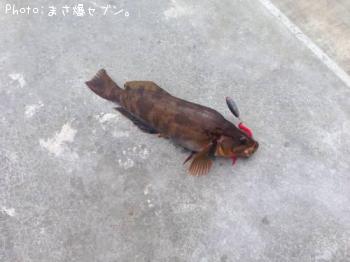 �����ʥ�