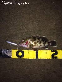 �����Υ���Х�