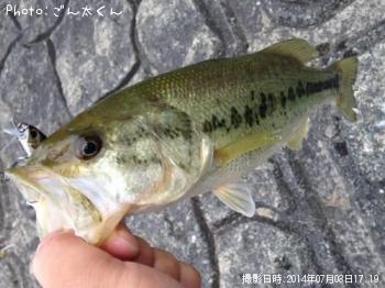 ¥Ö¥é¥Ã¥¯¥Ð¥¹