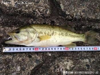 ¥Ö¥é¥Ã¥¯¥Ð¥¹